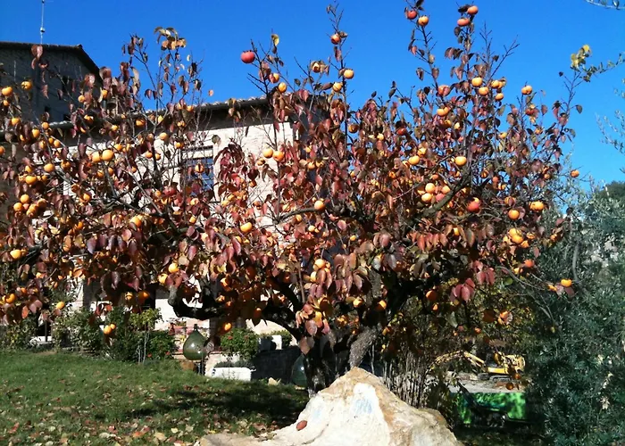 Podere Fontecastello